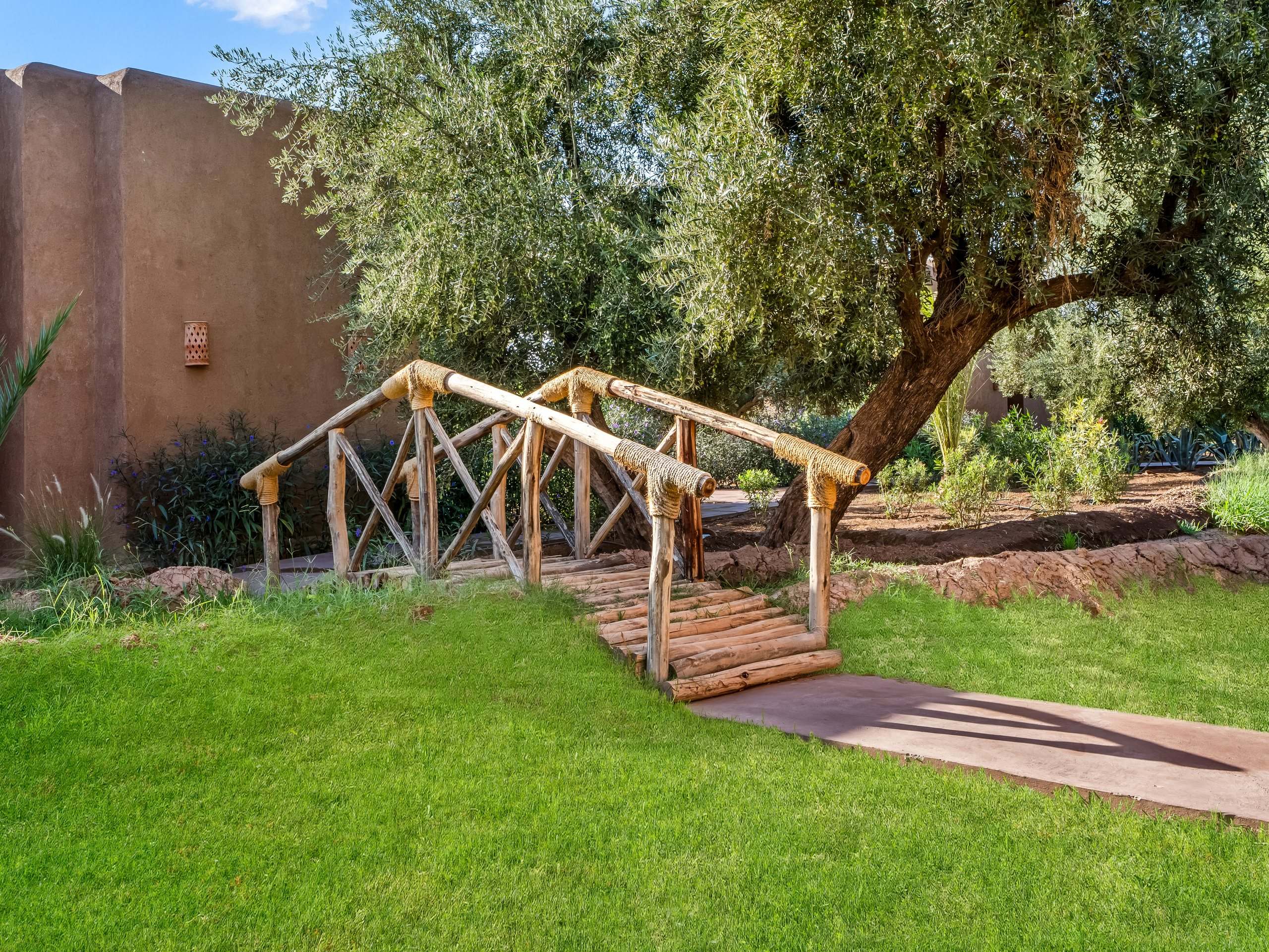Petit pont en bois sous les oliviers