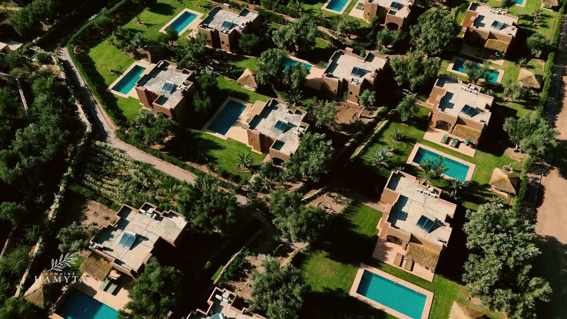 Les lodges et leurs piscines entre les oliviers, vus du ciel