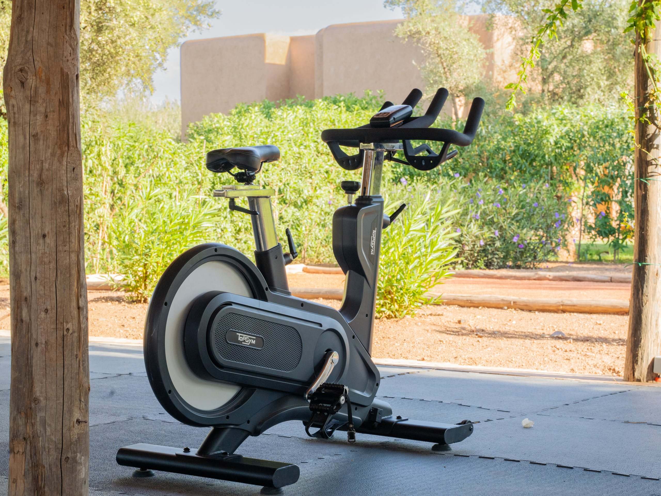Vélo d'appartement face au jardin