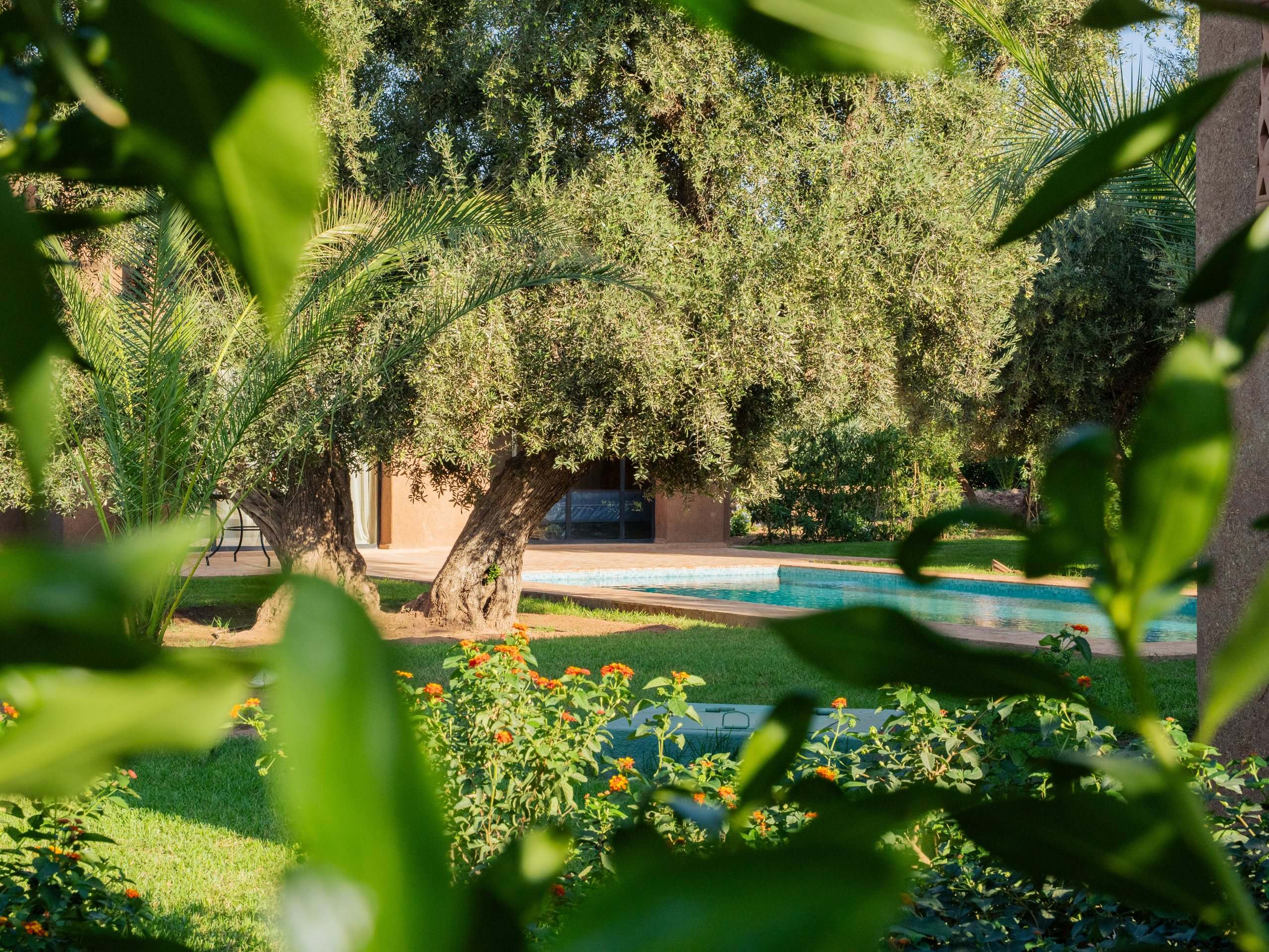 Piscine aperçue entre les feuillages